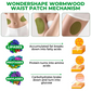 WonderShape Wormwood Waist Patches